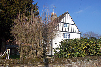 The gable end of The Old Farmhouse March 2011